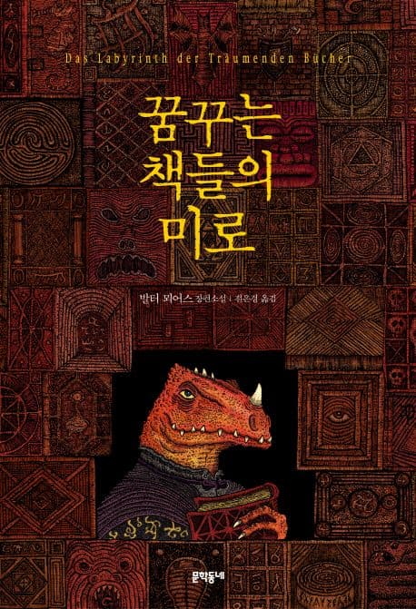 꿈꾸는 책들의 미로 표지