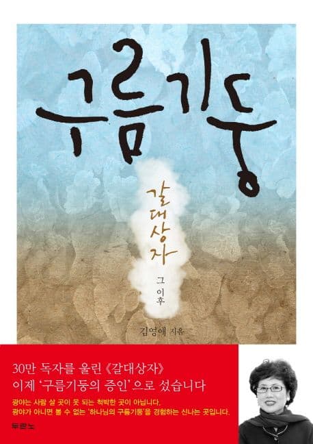 구름기둥  : 갈대상자 그 이후 표지