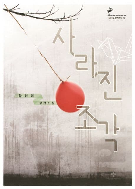 사라진 조각  : 황선미 장편소설 표지
