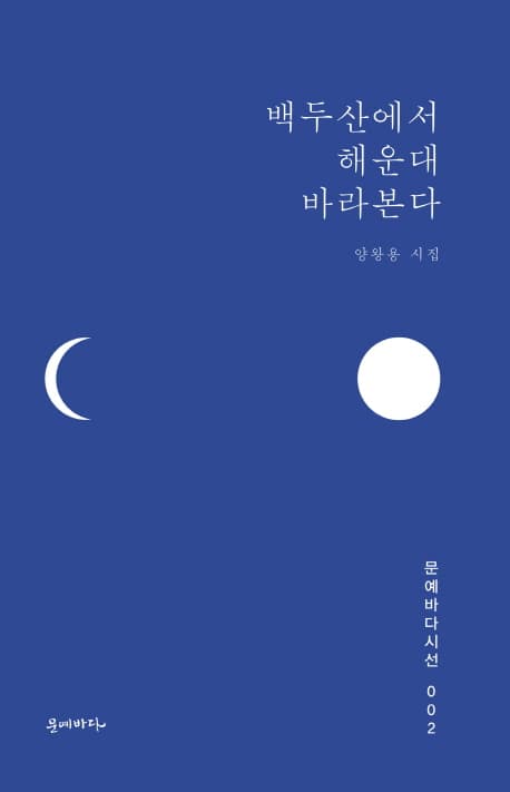 백두산에서 해운대 바라본다  : 양왕용 시집 표지