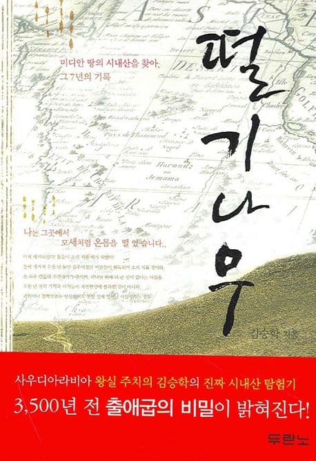 떨기나무 : 미디안 땅의 시내산을 찾아, 그 7년의 기록 표지