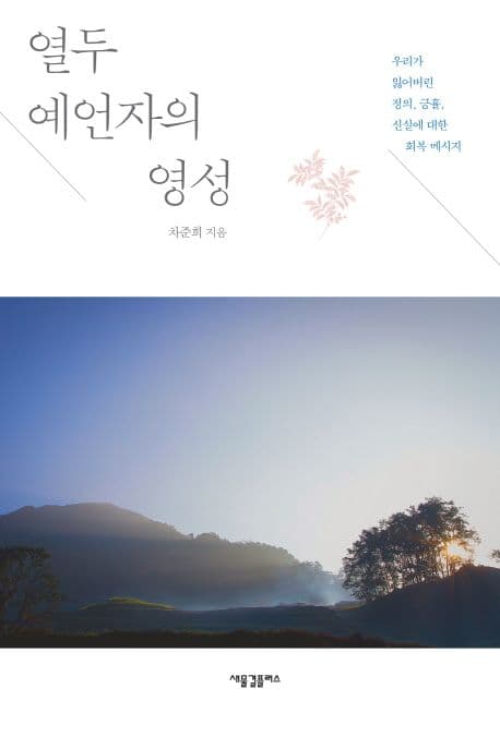 열두 예언자의 영성  : 우리가 잃어버린 정의, 긍휼, 신실에 대한 회복 메시지 표지