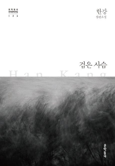 검은 사슴 : 한강 장편소설 표지
