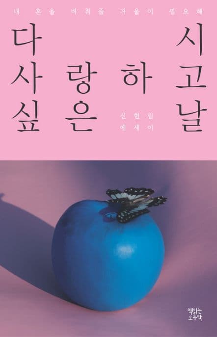 다시 사랑하고 싶은 날  : 신현림 에세이 표지