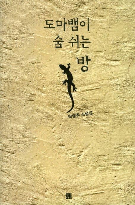 도마뱀이 숨 쉬는 방 표지