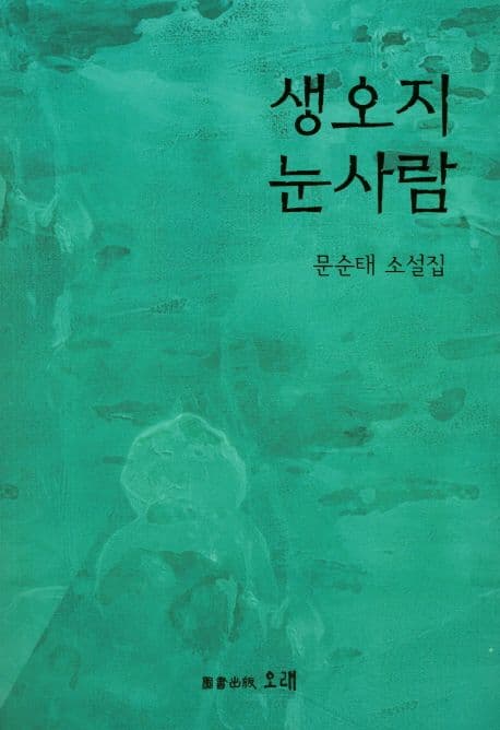 생오지 눈사람 : 문순태 소설집 표지