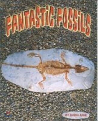 FANTASTIC FOSSILS 표지