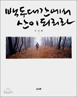 백두대간에서 산이되리라 표지