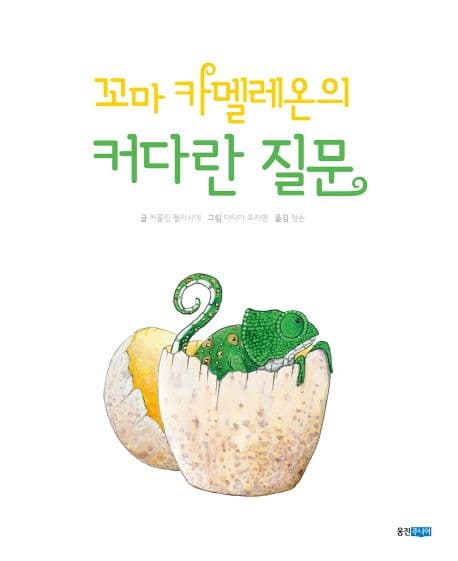 꼬마 카멜레온의 커다란 질문 표지