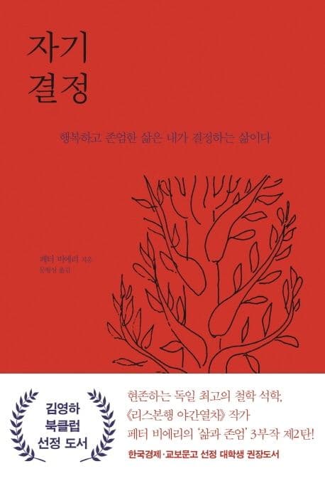 자기 결정 : 행복하고 존엄한 삶은 내가 결정하는 삶이다 표지