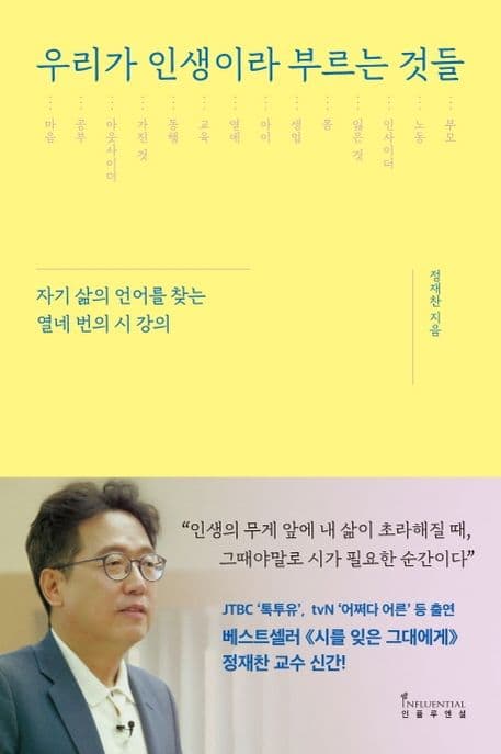 우리가 인생이라 부르는 것들 : 자기 삶의 언어를 찾는 열네 번의 시 강의 표지
