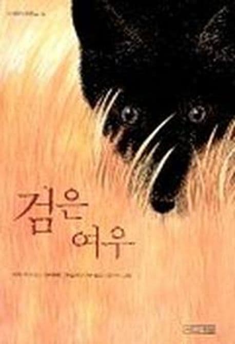 검은 여우 표지