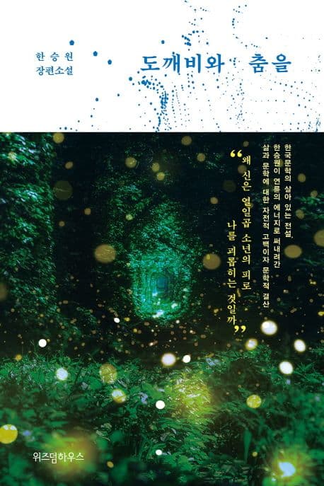 도깨비와 춤을 : 한승원 장편소설 표지