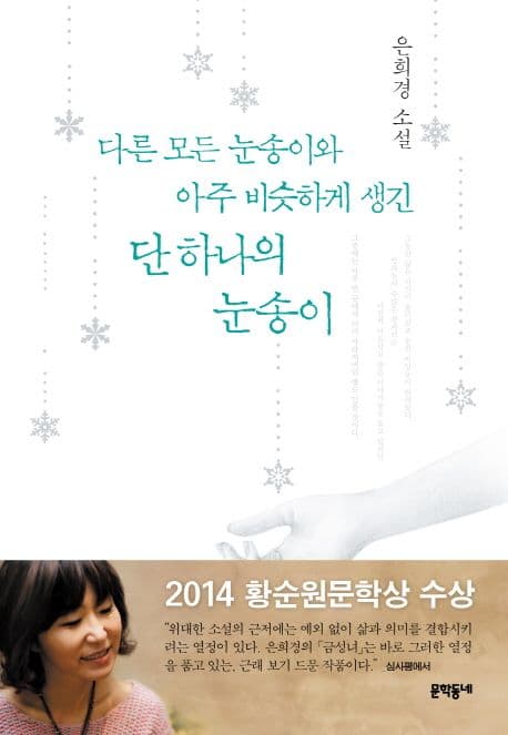 다른 모든 눈송이와 아주 비슷하게 생긴 단 하나의 눈송이  : 은희경 소설 표지