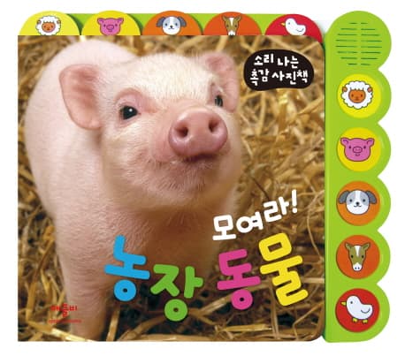 모여라! 농장 동물 표지