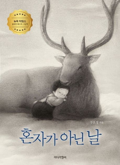 혼자가 아닌 날 표지