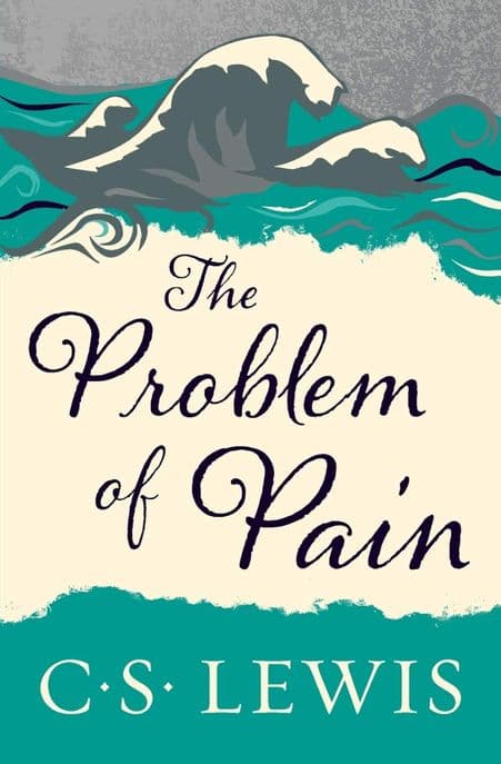 (The) problem of pain 표지