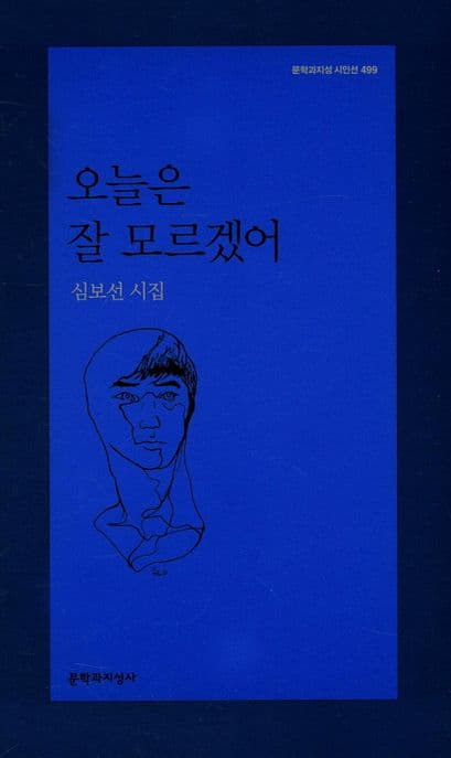 오늘은 잘 모르겠어 : 심보선 시집 표지
