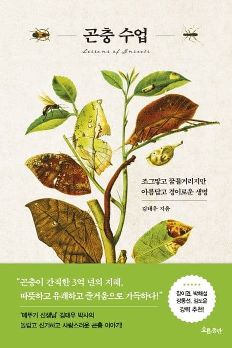 곤충 수업 표지