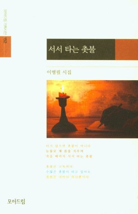 서서 타는 촛불 : 이병필 시집 표지