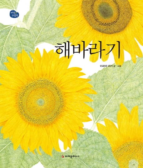 해바라기 표지