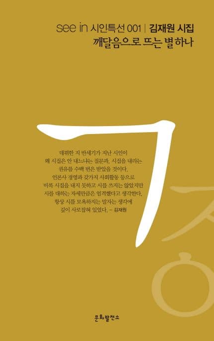 깨달음으로 뜨는 별 하나 표지
