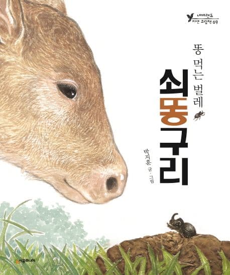 (똥 먹는벌레)쇠똥구리 표지