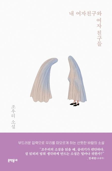내 여자친구와 여자 친구들 : 조우리 소설 표지