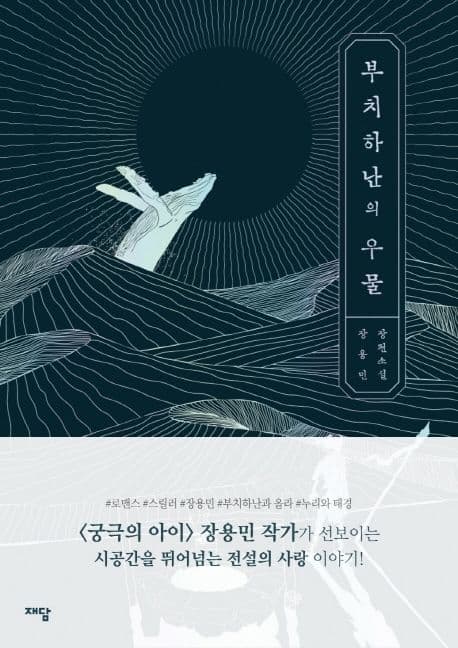 부치하난의 우물 : 장용민 장편소설 표지