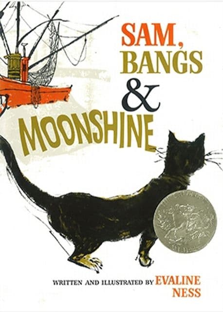 Sam, Bangs & Moonshine 표지