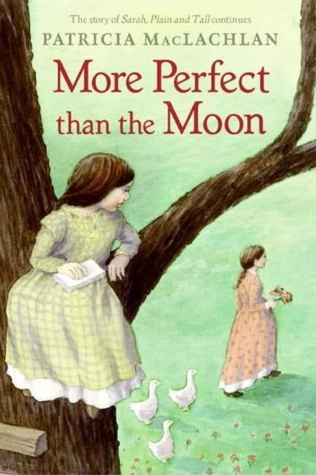 More perfect than the moon 표지