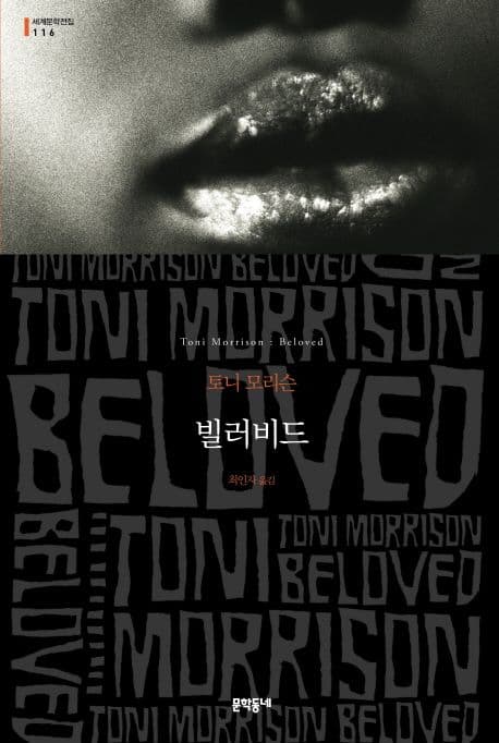 빌러비드 : 토니 모리슨 장편소설 표지