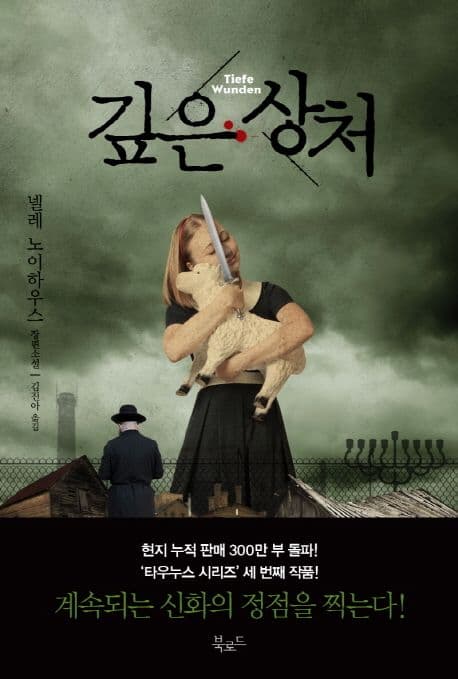 깊은 상처 표지