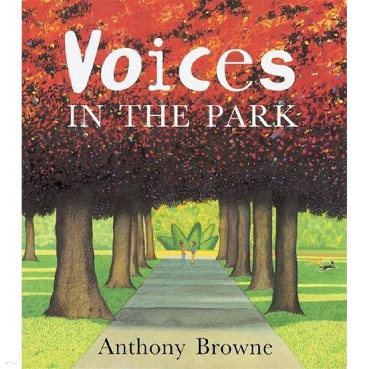 Voices in the park 표지