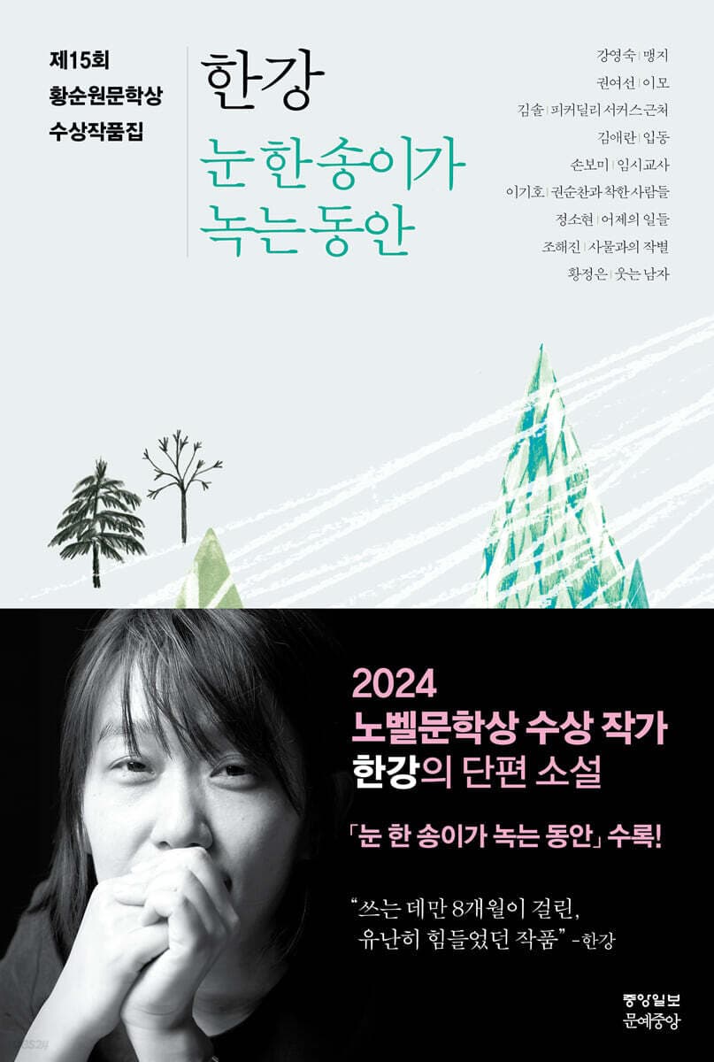 눈 한송이가 녹는 동안 표지