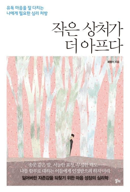 작은 상처가 더 아프다 : 유독 마음을 잘 다치는 나에게 필요한 심리 처방 표지