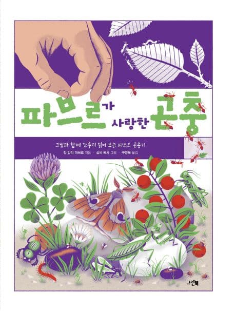 파브르가 사랑한 곤충 : 그림과 함께 간추려 읽어 보는 파브르 곤충기 표지