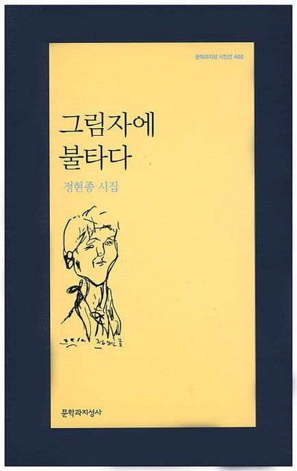 그림자에 불타다 표지