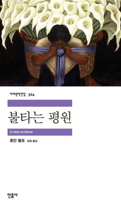 불타는 평원 표지