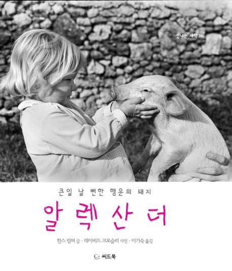 알렉산더 : 큰일 날 뻔한 행운의 돼지 표지
