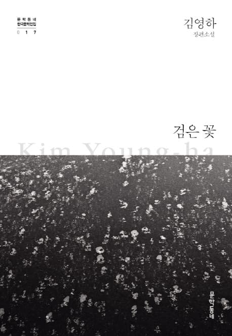 검은 꽃 표지