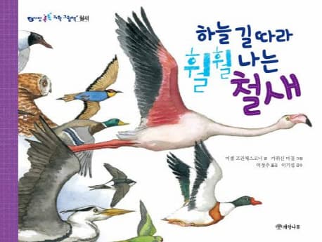 하늘 길 따라 훨훨 나는 철새 표지