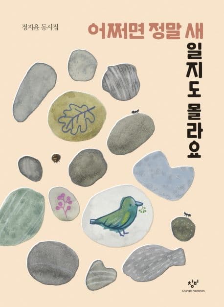 어쩌면 정말 새일지도 몰라요 : 정지윤 동시집 표지