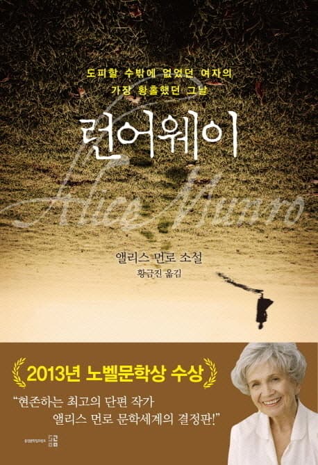 런어웨이  : 앨리스 먼로 소설  : 도피할 수밖에 없었던 여자의 가장 황홀했던 그날 표지