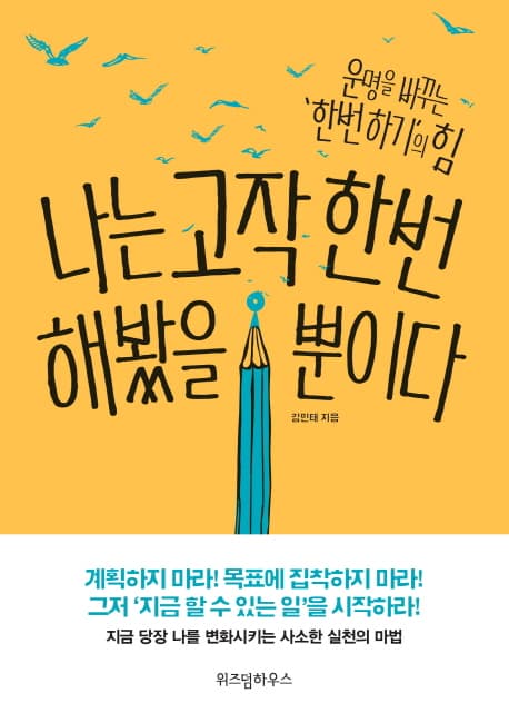나는 고작 한번 해봤을 뿐이다 : 운명을 바꾸는 '한번 하기'의 힘  지음 표지