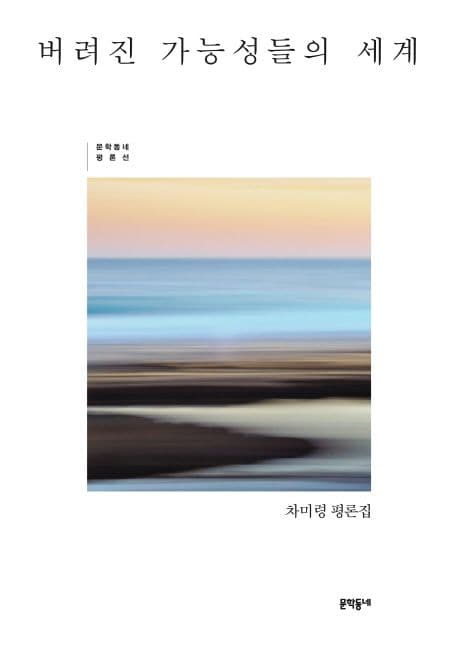 버려진 가능성들의 세계 : 차미령 평론집 표지