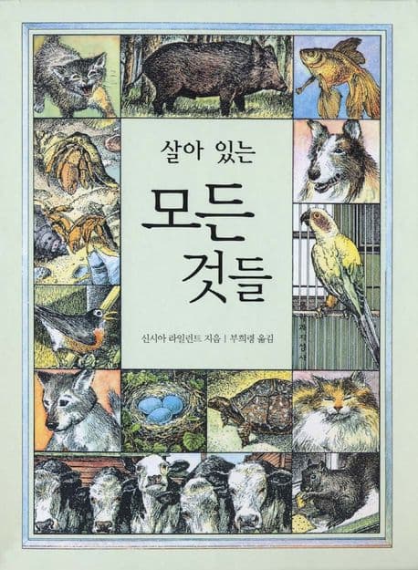 살아 있는 모든 것들 표지