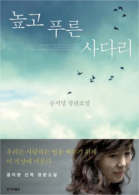 높고 푸른 사다리  : 공지영 장편소설 표지