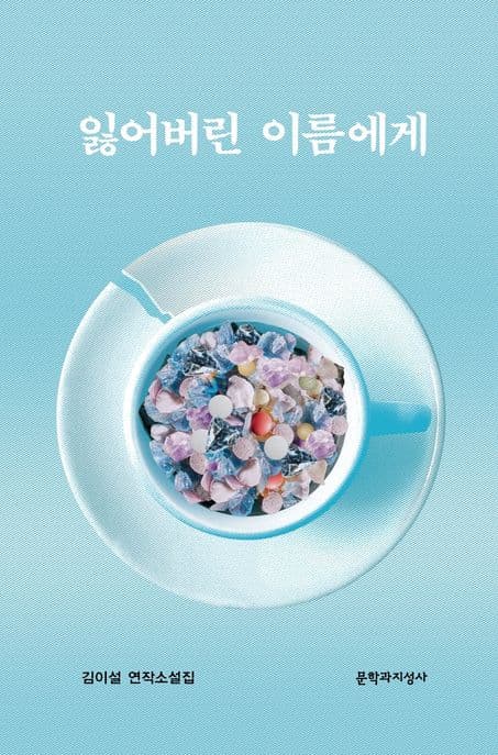 잃어버린 이름에게 : 김이설 연작소설집 표지