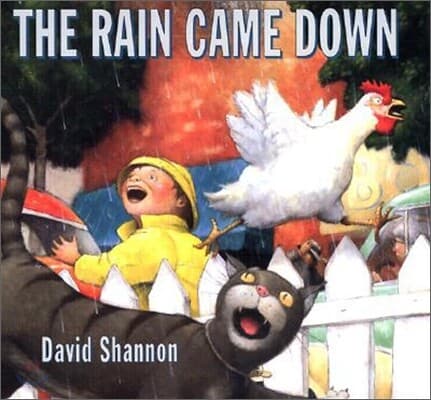 The rain came down 표지
